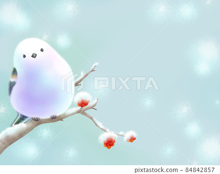 Long-tailed tit perched on a branch with red fruits (snow scene) 84842857