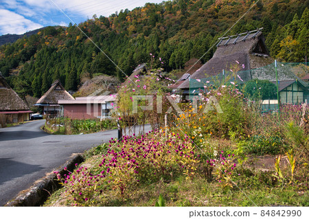 Kyoto Miyama Kayabuki no Sato 2021 Autumn 84842990