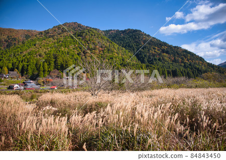Kyoto Miyama Kayabuki no Sato 2021 Autumn Kyoto Miyama Kayabuki no Sato 2021 Autumn 84843450