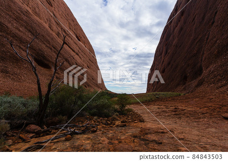 Walpa Gorge in Kata Tjuta, Uluru Kata Tjuta National Park, Australia Walpa Gorge in Kata Tjuta, Uluru Kata Tjuta National Park, Australia 84843503