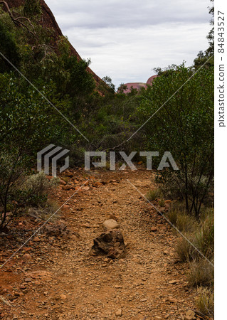 澳大利亞烏魯魯卡塔丘塔國家公園的卡塔丘塔風谷 84843527