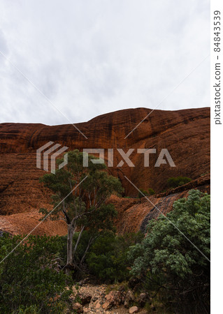 澳大利亞烏魯魯卡塔丘塔國家公園的卡塔丘塔風谷 84843539