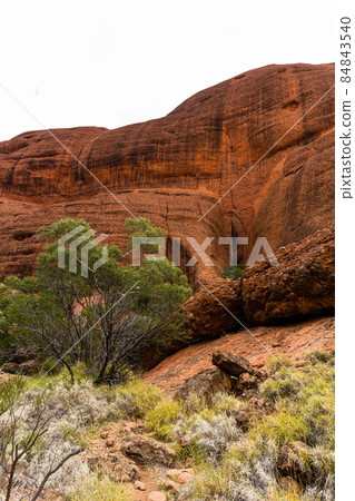 澳大利亞烏魯魯卡塔丘塔國家公園的卡塔丘塔風谷 84843540