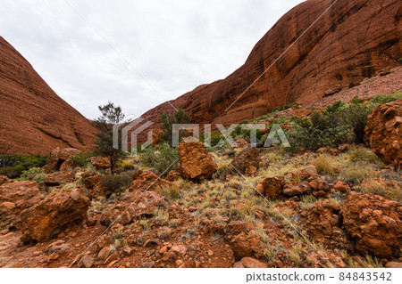 Kata Tjuta Wind Valley in Uluru Kata Tjuta National Park, Australia 84843542