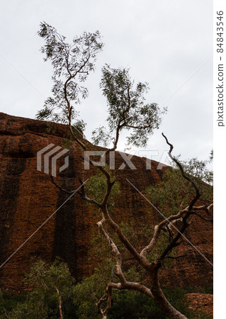 澳大利亞烏魯魯卡塔丘塔國家公園的卡塔丘塔風谷 84843546