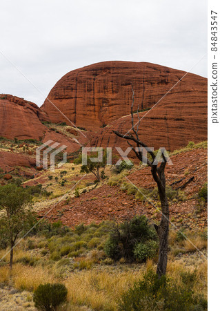 Kata Tjuta Wind Valley in Uluru Kata Tjuta National Park, Australia 84843547