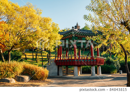 Korean traditional pavilion and autumn colorful trees at 5.18 Memorial Park in Gwangju, Korea 84843815