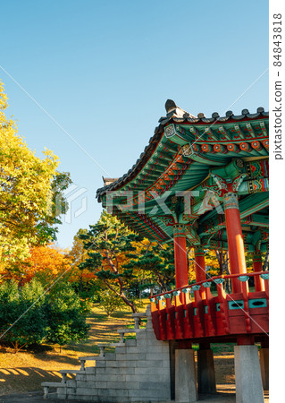 Korean traditional pavilion and autumn colorful trees at 5.18 Memorial Park in Gwangju, Korea 84843818