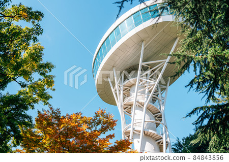 Gwangju Sajik Park observatory in Gwangju, Korea 84843856