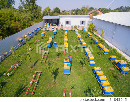 Aerial view over an industrial bee apiary. Many rows of beehives. Aerial view over an industrial bee apiary. Many rows of beehives. 84843945