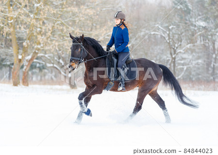 Young rider woman ejoying horse riding in winter park Young rider woman ejoying horse riding in winter park 84844023