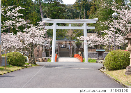 <島根縣> 神社鳥居前的春天熊野神社和朱紅色的八雲橋 <島根縣> 神社鳥居前的春天熊野神社和朱紅色的八雲橋 84845198