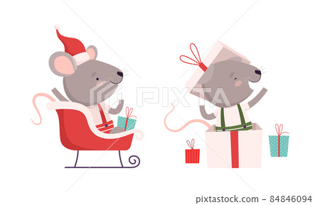 Cute Grey Mouse in Christmas Santa Hat Jumping Out of Gift Box and Riding Sledge Vector Set Cute Grey Mouse in Christmas Santa Hat Jumping Out of Gift Box and Riding Sledge Vector Set 84846094