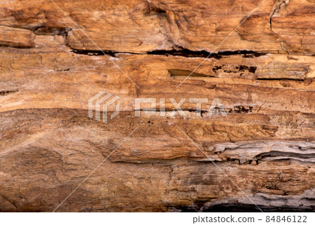 texture of bark wood use as natural background. 84846122