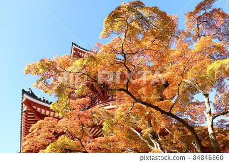 Autumn leaves Naritasan Shinshoji Temple Peace Pagoda, Narita City, Chiba Prefecture 84846860