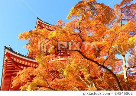 Autumn leaves Naritasan Shinshoji Temple Peace Pagoda, Narita City, Chiba Prefecture 84846862