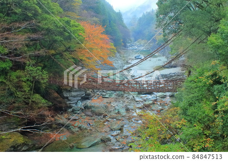 [德島縣] 有紅葉的家矢之橋 84847513