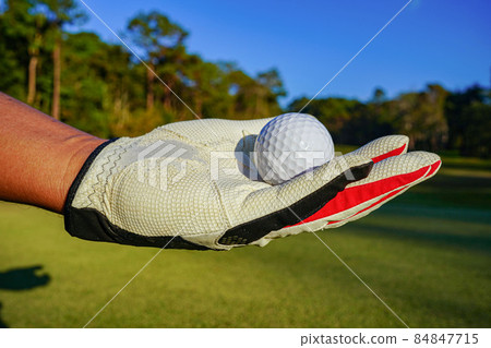 Hand hold golf ball with tee on course, golf course background Hand hold golf ball with tee on course, golf course background 84847715
