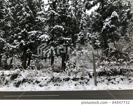 Winter monochrome world Winter monochrome world 84847732