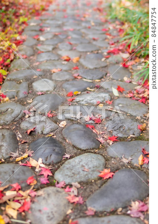 Cobblestones studded with autumn leaves 84847754