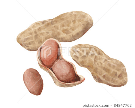 Handwritten illustration with peanut shell 84847762