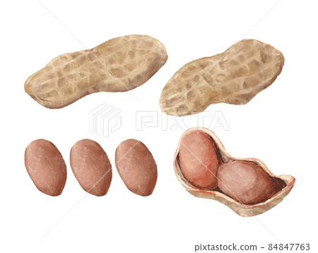 手寫花生插圖脫節且易於使用 84847763