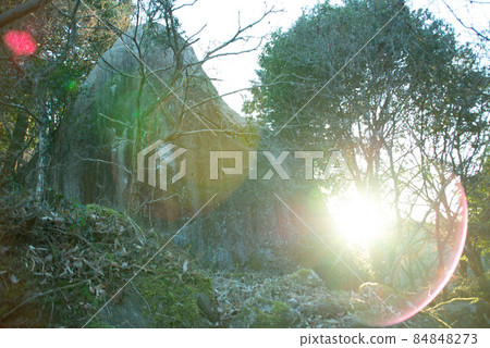 中津市（三光村） 84848273