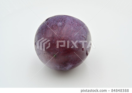 Grapefruit 84848388