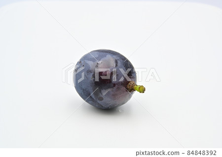 Grapefruit 84848392