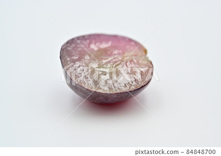 葡萄葡萄 84848700