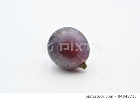 Grapefruit 84848715