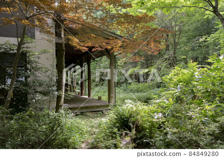 Mountain lodge in the forest Mountain lodge in the forest 84849280