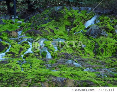 Chatsubomi Moss Park / Hole Hell 84849441