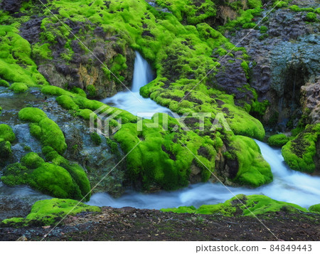Chatsubomi Moss Park / Hole Hell Chatsubomi Moss Park / Hole Hell 84849443