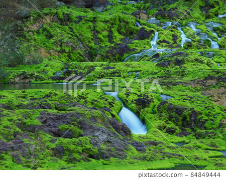 Chatsubomi Moss Park / Hole Hell Chatsubomi Moss Park / Hole Hell 84849444