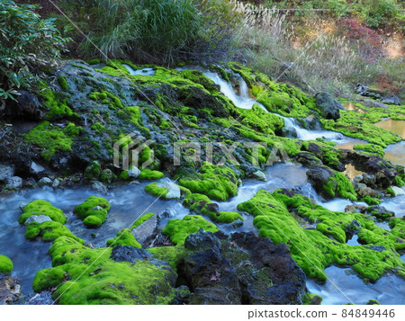 Chatsubomi Moss Park / Hole Hell Chatsubomi Moss Park / Hole Hell 84849446