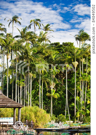 Southern country image 84849502