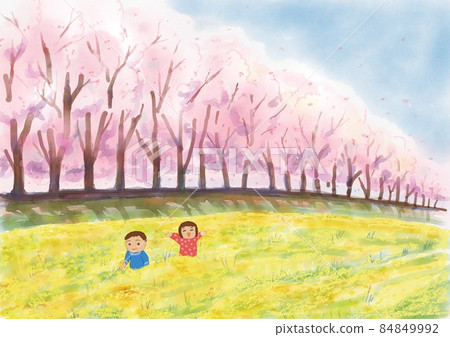 Children playing in the cherry blossom fields 84849992