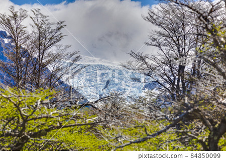 Picture of the hiking trail to Cerro Torre glacial lake Picture of the hiking trail to Cerro Torre glacial lake 84850099