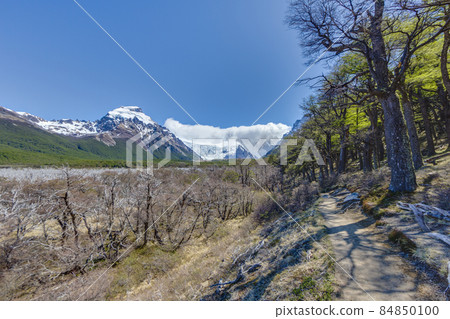 Picture of the hiking trail to Cerro Torre glacial lake Picture of the hiking trail to Cerro Torre glacial lake 84850100