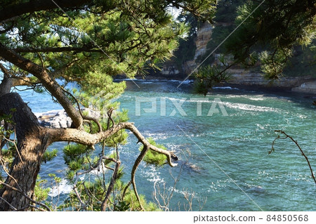 秋天陽光明媚的伊豆海岸茨城 秋天陽光明媚的伊豆海岸茨城 84850568