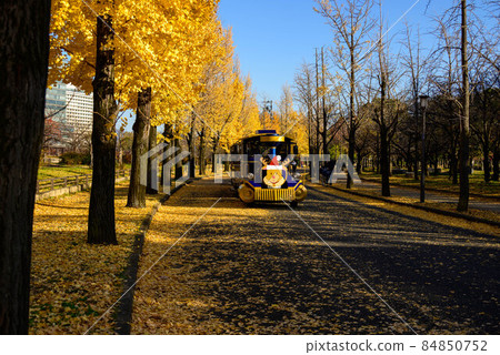 Osaka Castle Park Ginkgo 9 84850752