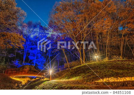 Akebono Children's Forest Park Autumn Illumination Akebono Children's Forest Park Autumn Illumination 84851108