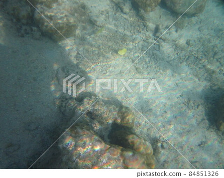 Moorea sea world 84851326