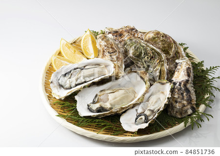 帶殼的去皮牡蠣放在白色背景的濾鍋上 84851736