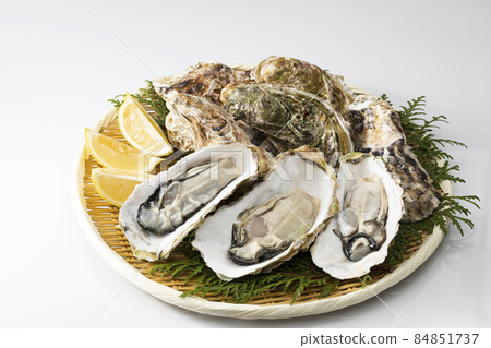 Peeled oysters with shells on a colander with a white background 84851737