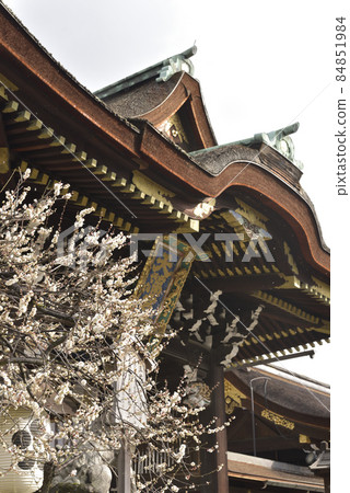 Shiraume and Sankomon Kitano Tenmangu Shrine Shiraume and Sankomon Kitano Tenmangu Shrine 84851984