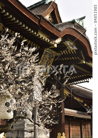 Shiraume and Sankomon Kitano Tenmangu Shrine Shiraume and Sankomon Kitano Tenmangu Shrine 84851985