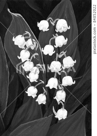 鈴蘭帆布繪畫單色 鈴蘭帆布繪畫單色 84852022