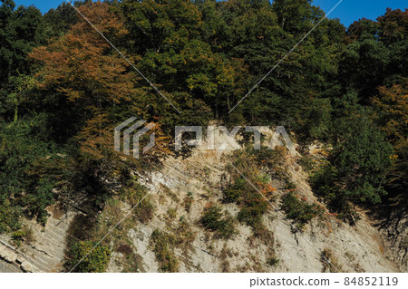 秩父的大露水 秩父的大露水 84852119